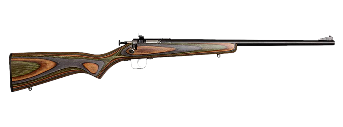 Chipmunk 00005 Gen2 22 LR 16.10" Single-Shot Bolt Action Rifle - Blued Barrel, Camo Laminate Stock