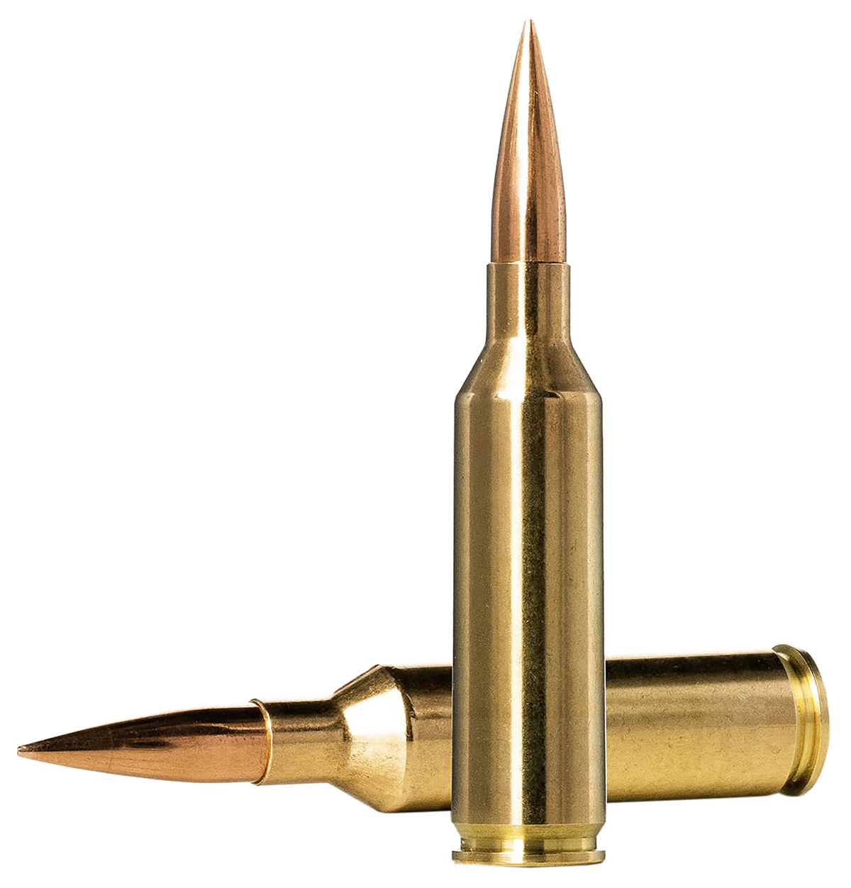Norma Ammunition Dedicated Precision Golden Target Match 6.5 PRC 143gr Hollow Point Boat-Tail 20 Rd - Box or Case
