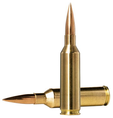Norma Ammunition Dedicated Precision Golden Target Match 6.5 PRC 143gr Hollow Point Boat-Tail 20 Rd - Box or Case