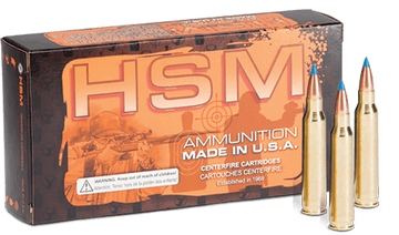 HSM .204 Ruger 32gr BlitzKing 20 Rd - Box or Case