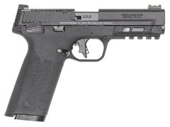 Smith & Wesson M&P 22X 22 LR 4.10" 10+1 Semi-Auto Pistol