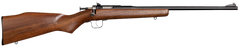 Chipmunk 00001 Youth 22 LR 16.13" Single-Shot Bolt Action Rifle