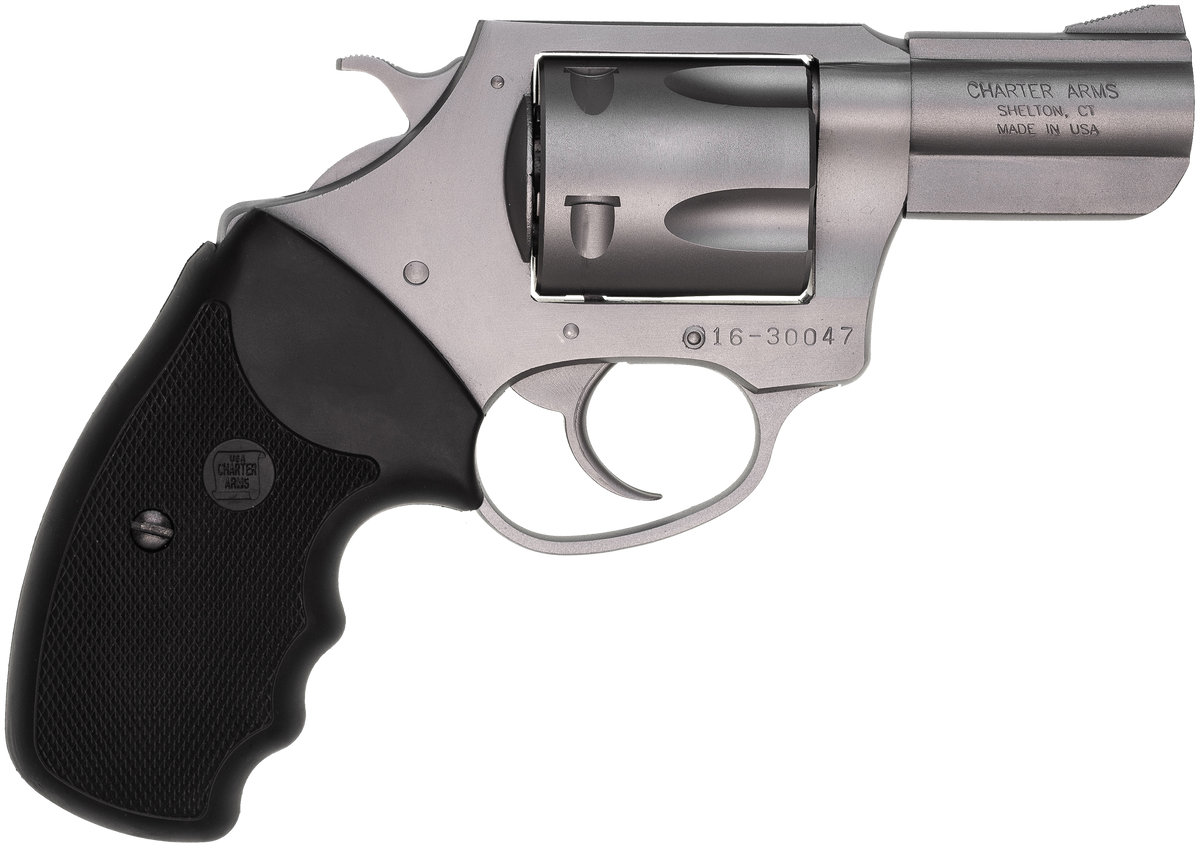 Charter Arms Pitbull 40 S&W 2.30" 5-Shot DA/SA Revolver - Matte Stainless