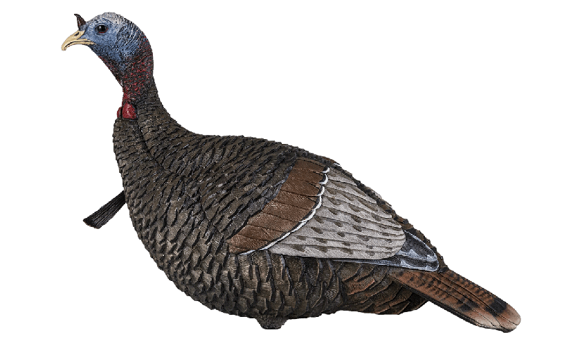Flextone Thunder Jake Turkey Decoy - 1-Piece Blow-Molded Sub-Dominant Jake