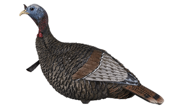 Flextone Thunder Jake Turkey Decoy - 1-Piece Blow-Molded Sub-Dominant Jake