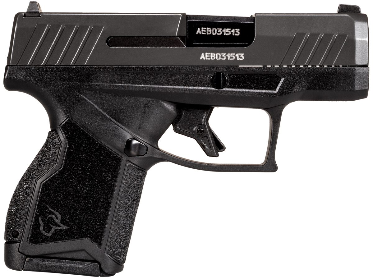 Taurus GX4 Micro-Compact 9mm Luger 3.06" 10+1 Semi-Auto Pistol - Graphene Gray
