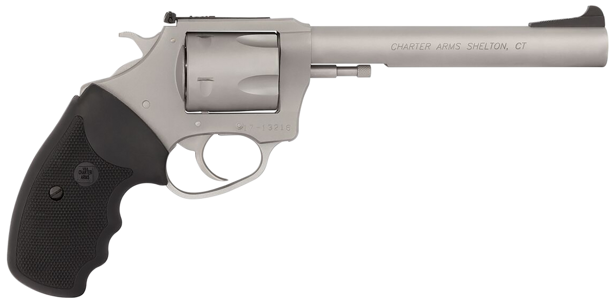 Charter Arms Pitbull 9mm Luger 6" 5rd DA/SA Revolver - Matte Stainless