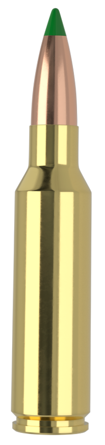 Nosler Ballistic Tip 300 WSM 165gr Spitzer Polymer Tip - Box or Case