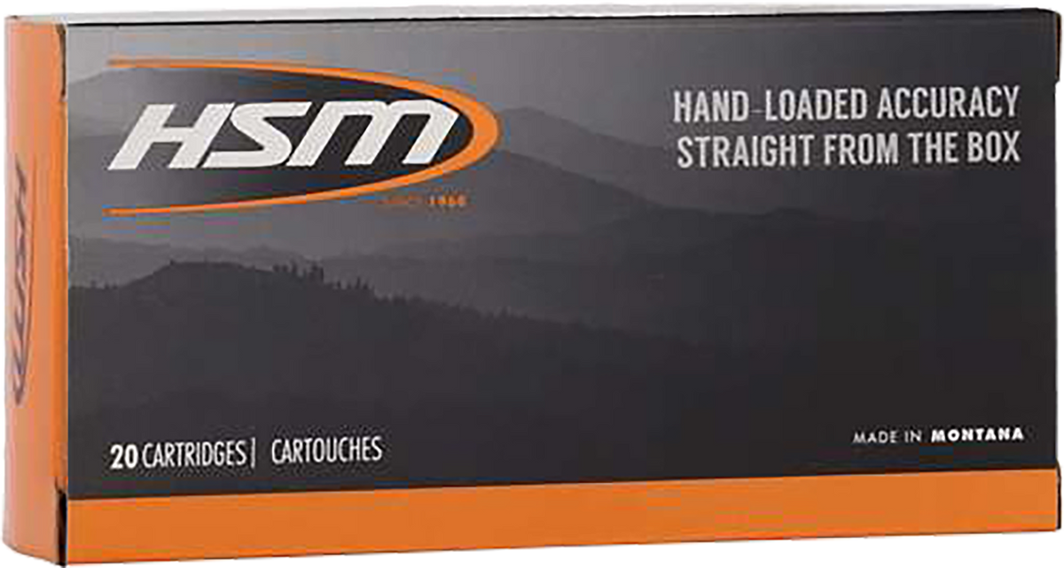 HSM Pro Hunt .45-70 Government 300gr Jacketed Hollow Point 20 Rd - Box or Case