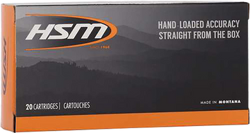 HSM Pro Hunt .45-70 Government 300gr Jacketed Hollow Point 20 Rd - Box or Case