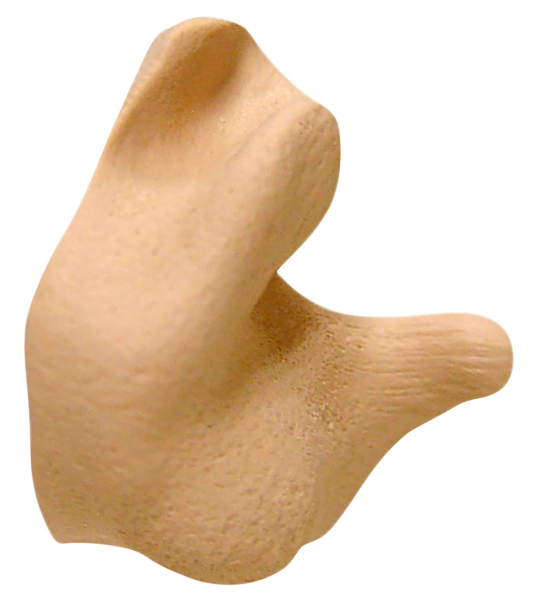 Radians CEP002-T Custom Molded Earplugs Silicone 26 dB Tan In The Ear