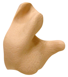 Radians CEP002-T Custom Molded Earplugs Silicone 26 dB Tan In The Ear