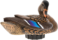 Avian X Power Shaker Mallard Hen Preener Multi-Color Motion Decoy