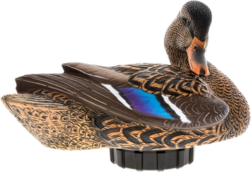 Avian X Power Shaker Mallard Hen Preener Multi-Color Motion Decoy