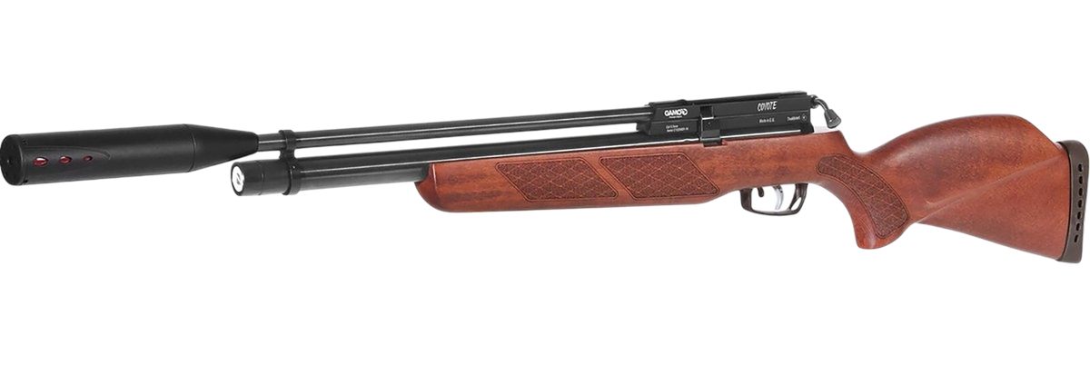 Gamo Coyote Whisper Fusion .22 Cal 24.5" 10-Shot PCP Air Rifle - Beechwood