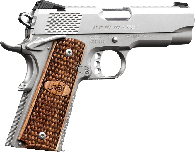 Kimber Stainless Pro Raptor II .45 ACP 4" 8+1 Semi-Auto Pistol