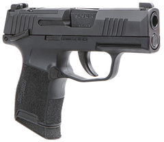 Sig Sauer P365 BXR Micro-Compact 9mm Luger 3.10" 10+1 Striker-Fired Pistol - XRAY3 Day/Night Sights