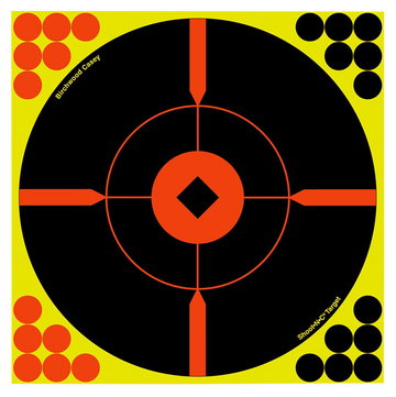 Birchwood Casey Shoot-N-C 12" Bullseye BMW Reactive Target 5-Pack