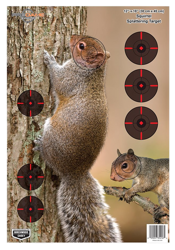 Birchwood Casey 35406 Pregame Squirrel 12" x 18" Reactive Paper Hanging Target - 8 Pack