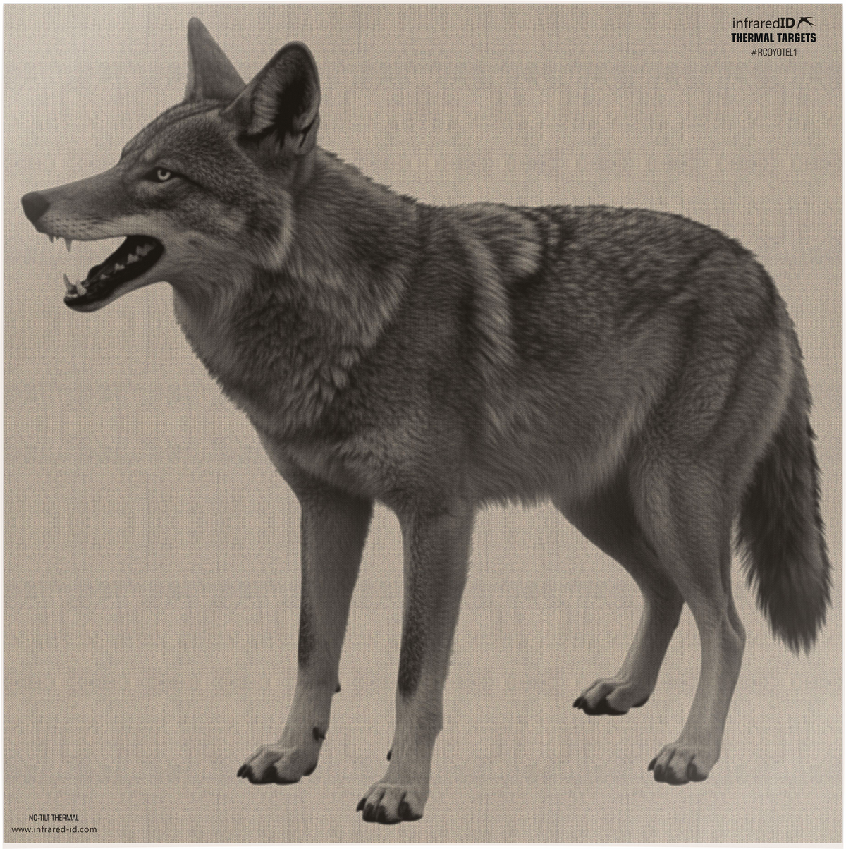 Reshet Graf Infrared-ID RCOYOTEL1 Coyote Thermal Target 16" x 22.25"