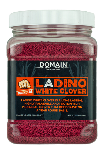 Domain Outdoor Ladino White Clover Pounder Food Plot Seed 1 lb