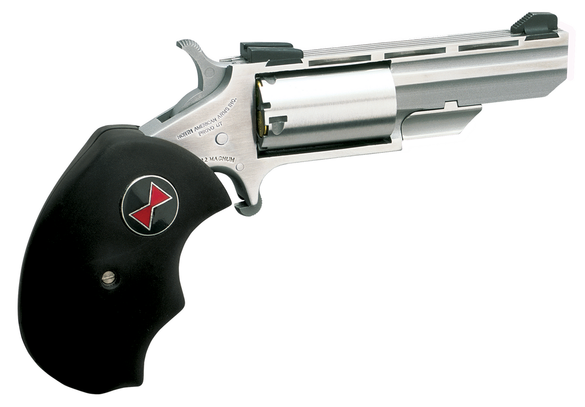 North American Arms Black Widow 22 LR 2" 5-Rd SAO Stainless Steel Revolver
