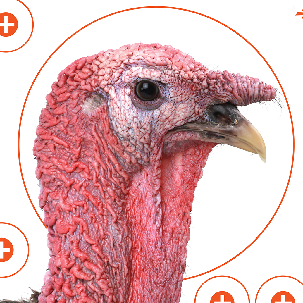 EZ-Aim Four Color Turkey Hanging Paper Target 12" x 12" 6 Pack — view 2
