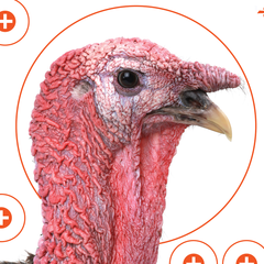 EZ-Aim Four Color Turkey Hanging Paper Target 12" x 12" 6 Pack — view 2
