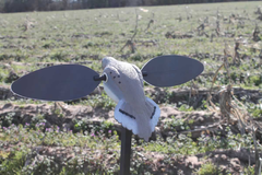 Mojo Outdoors HW2488 Elite Series Dove Spinning Wing Motion Decoy - Multi-Color PVC — view 2