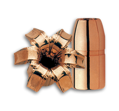 Barnes Bullets XPB .460 S&W Mag 200gr 20/Box — view 2