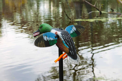Mojo Outdoors HW2490 Elite Series Spoonzilla Duck Motion Decoy - Multi-Color Molded Plastic — view 2