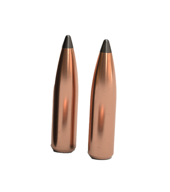 Nosler Partition 25 Caliber 120gr Spitzer 50/Box — view 2