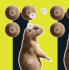 Allen EZ Aim Splash Prairie Dog 8"x8" Reactive Hanging Paper Target - 6 Pack — view 2