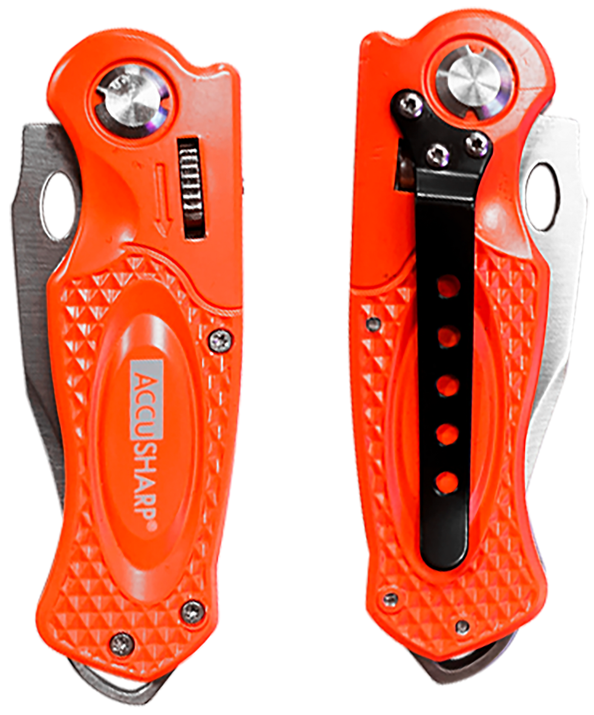 AccuSharp 709C Sport 3" Folding Plain Stainless Steel Blade Blaze Orange Anodized Aluminum Handle — view 2