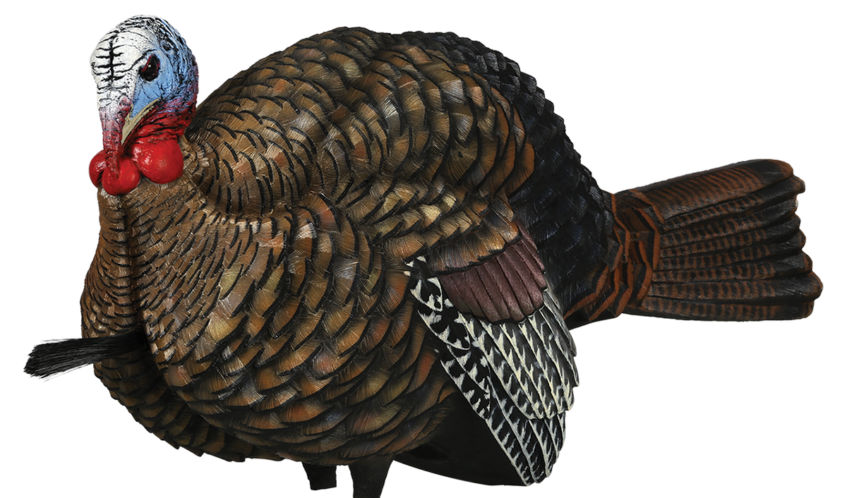Avian X LCD Half-Strut Jake Turkey Decoy - Dura-Rubber - Multi-Color — view 2