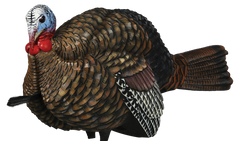Avian X LCD Half-Strut Jake Turkey Decoy - Dura-Rubber - Multi-Color — view 2
