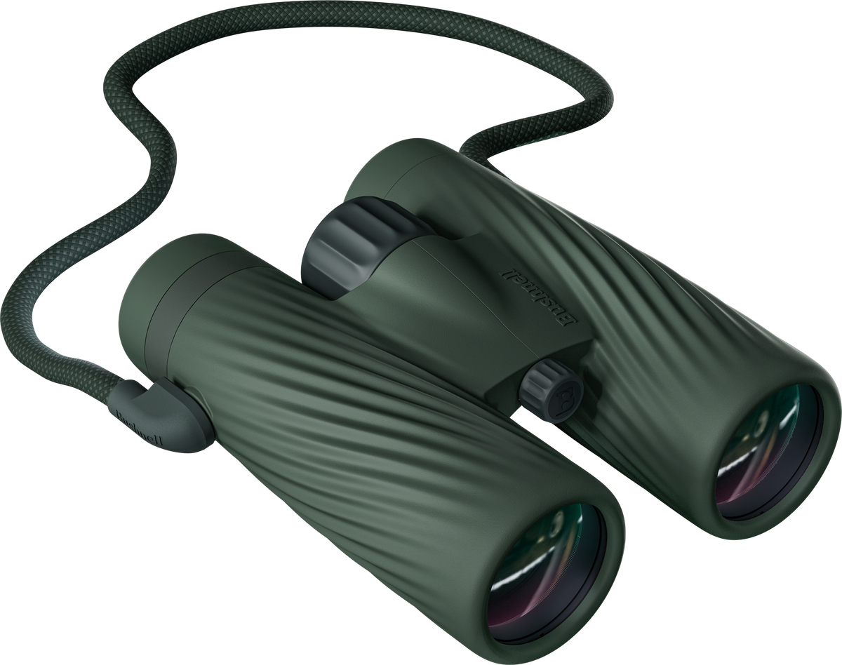 Bushnell A5 8x42mm Roof Prism Binoculars - Cilantro Green — view 2