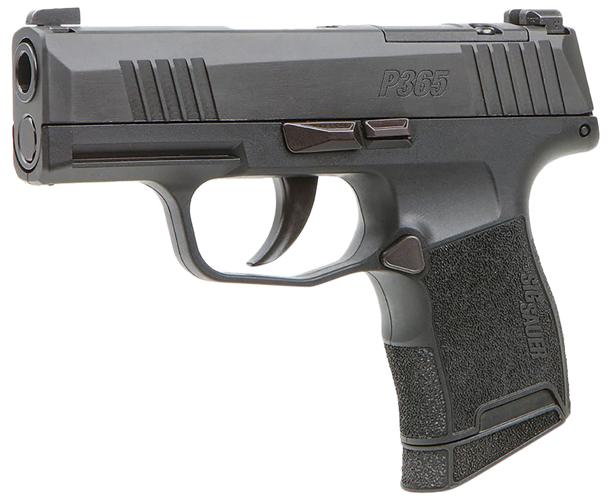 Sig Sauer P365 BXR Micro-Compact 9mm Luger 3.10" 10+1 Striker-Fired Pistol - XRAY3 Day/Night Sights — view 2