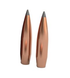 Nosler AccuBond Long Range 7mm 168gr Spitzer 100/Box — view 2