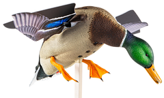 Avian X PowerFlight Mallard Spinning Wing Duck Decoy Multi-Color Dual Mode Remote — view 2