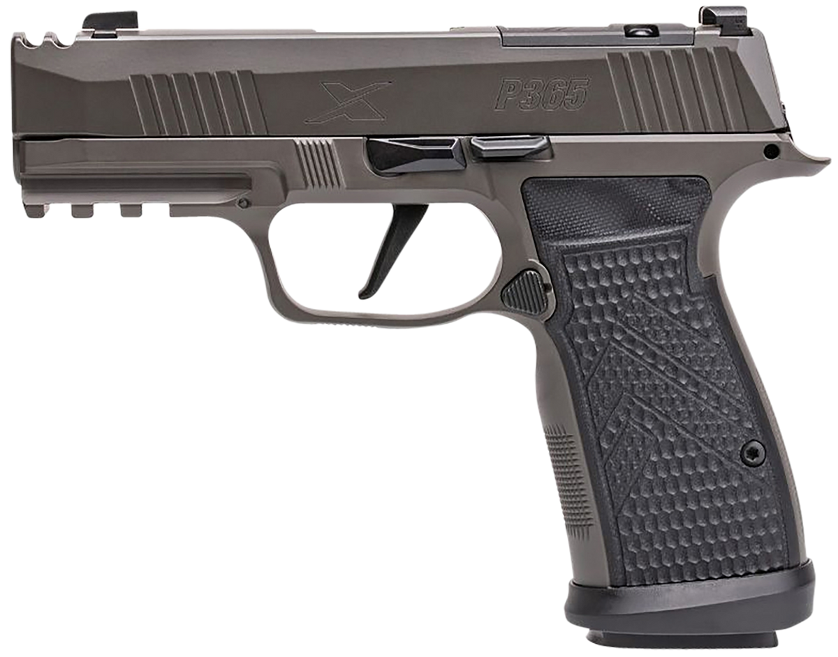 Sig Sauer P365 AXG Legion 9mm 3.1" 17+1 Striker-Fired Pistol - Legion Gray — view 2