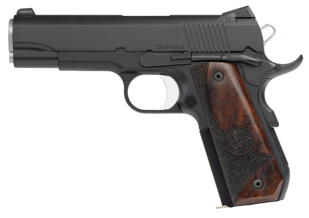 Dan Wesson Guardian 9mm Luger 4.25" 9+1 Semi-Auto Pistol — view 2