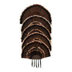 Allen 7258 Turkey Fan & Beard Display Mount 5-Stack with Mounting Hardware — view 2