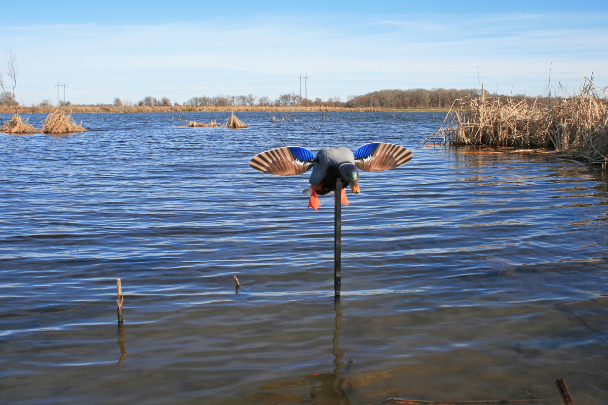 Mojo Elite Series Mini Mallard Drake Motion Decoy - Multi-Color Plastic — view 2