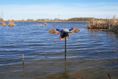 Mojo Elite Series Mini Mallard Drake Motion Decoy - Multi-Color Plastic — view 2