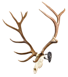 Skull Hooker Big Hooker Large/XL European Skull Mount Steel Graphite Black — view 2