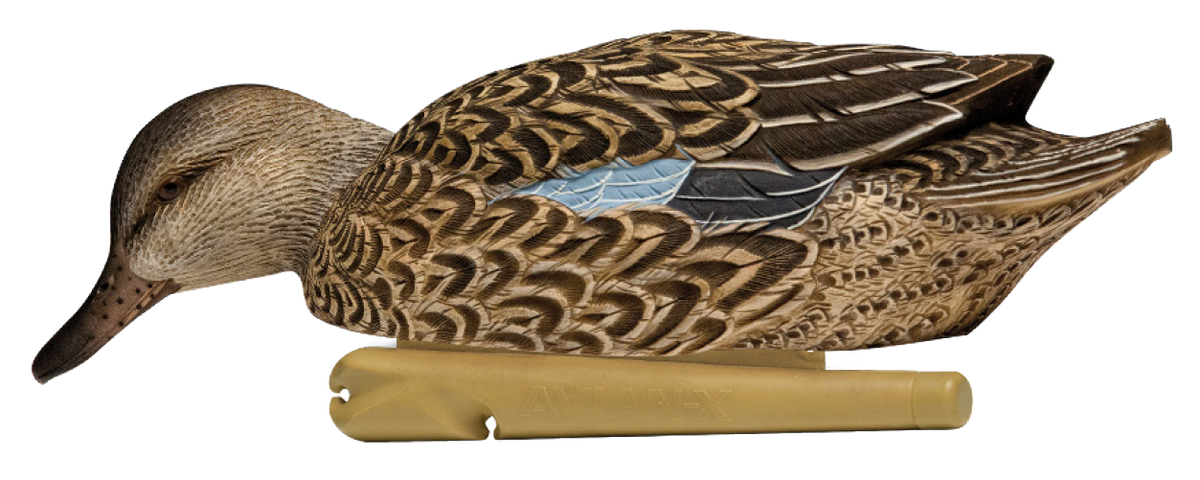 Avian X Topflight Blue-Winged Teal 10" Floating Duck Decoys 6-Pack — view 2