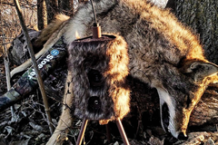 Mojo Outdoors HW2304 Super Critter Predator Decoy - Cottontail Sounds — view 2