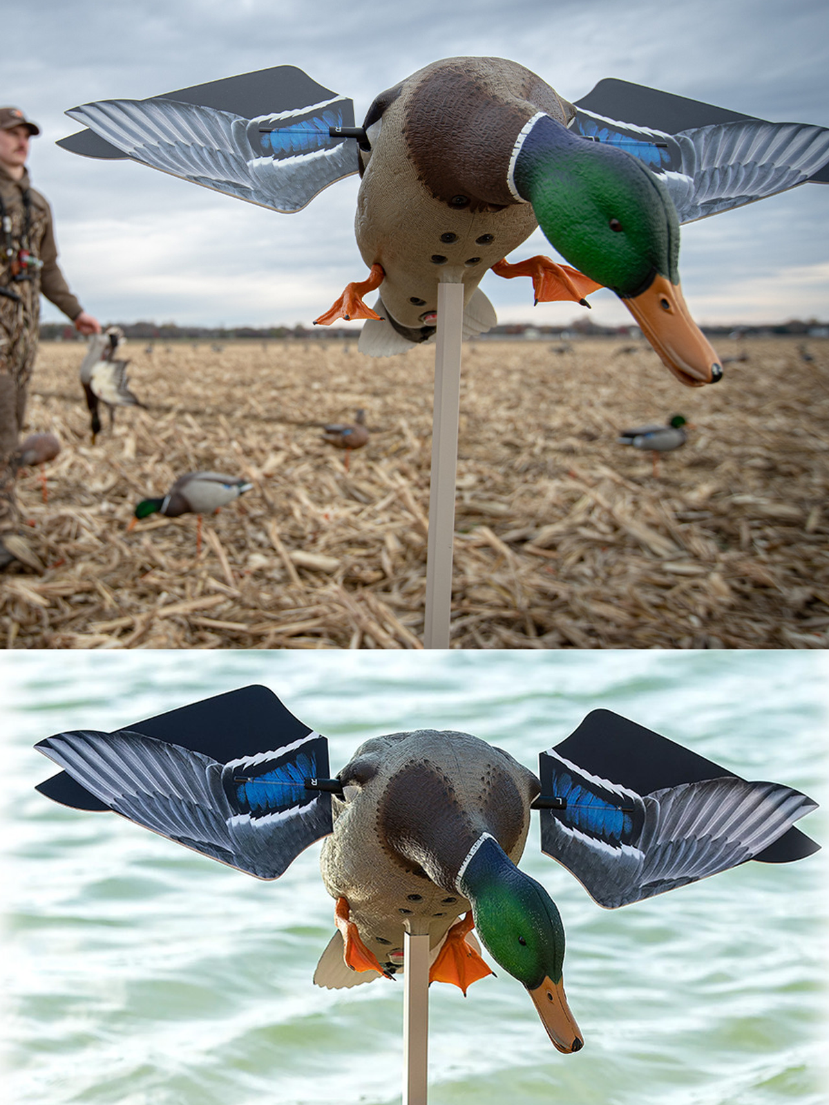 Avian X PowerFlight Smart Motion Mallard Spinning Wing Duck Decoy — view 2