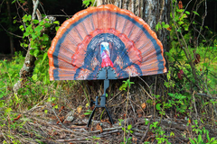 Mojo Outdoors HW2453 Tail Chaser Max Turkey Decoy - Multi-Color Plastic — view 3